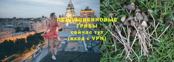 крисы Зеленокумск